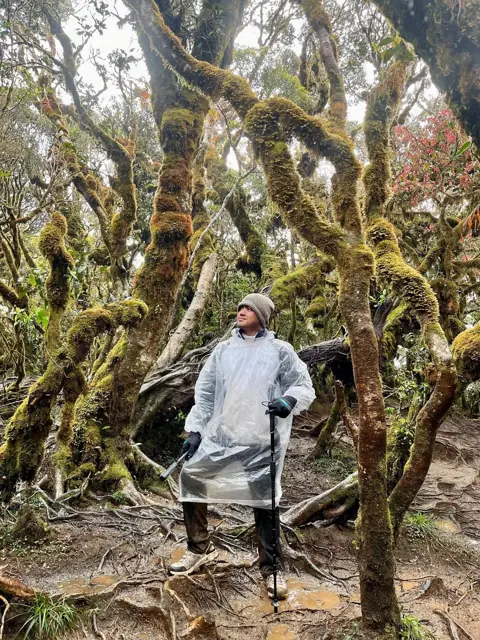 Merald in the mossy forest of Mount Pulag