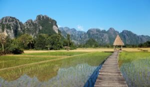 laos, vang vieng, popular hotels, vieng tara villa, the scenery, in rice field, laos, vang vieng, vang vieng, vang vieng, vang vieng, vang vieng